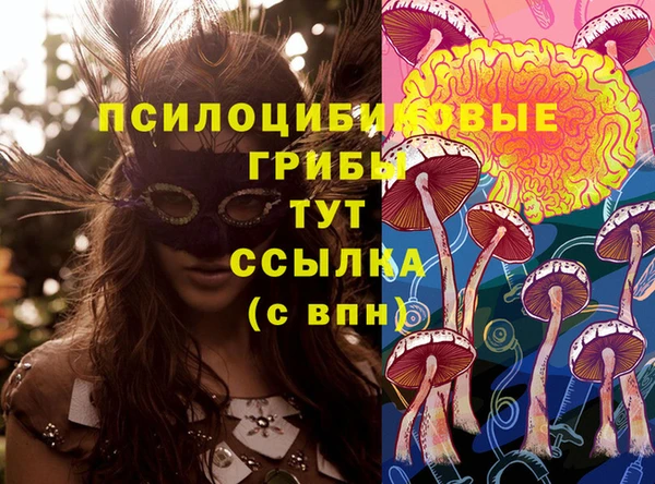 MDMA Premium VHQ Приозерск