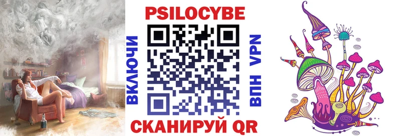 Псилоцибиновые грибы Cubensis Сухиничи